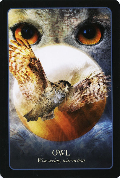 The Halloween Oracle Cards