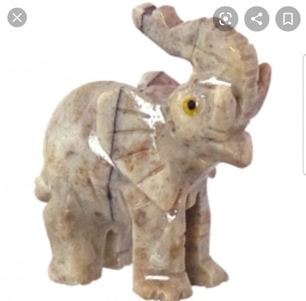 Animal Spirit Guides