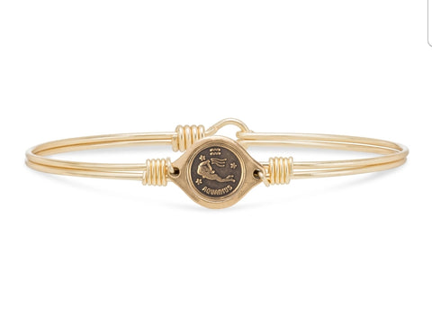 Luca & Danni Aquarius