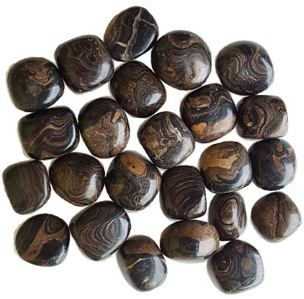 Stromatolite Tumbled Stone