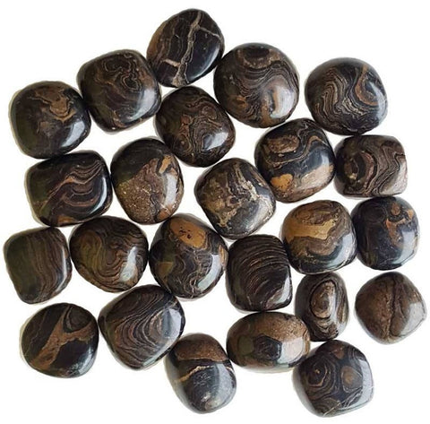 Stromatolite Tumbled Stone