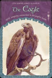 The Wisdom of Avalon Oracle Cards