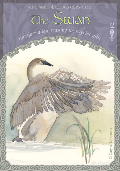 The Wisdom of Avalon Oracle Cards