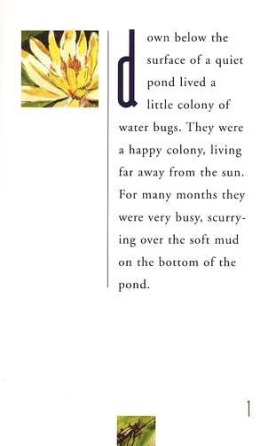 Water Bugs and Dragonflies Explaining Death to Young Children