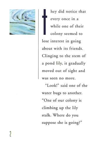 Water Bugs and Dragonflies Explaining Death to Young Children